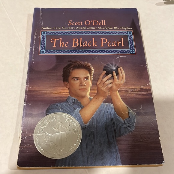 Classroom Library Books round 1 - Picture 7 of 16